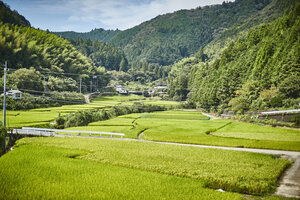 nossonの仲間募集中！